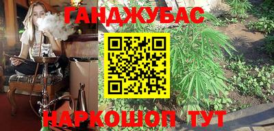 шишки Аргун