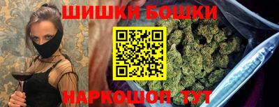 шишки Аргун