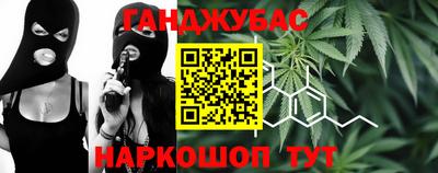 шишки Аргун
