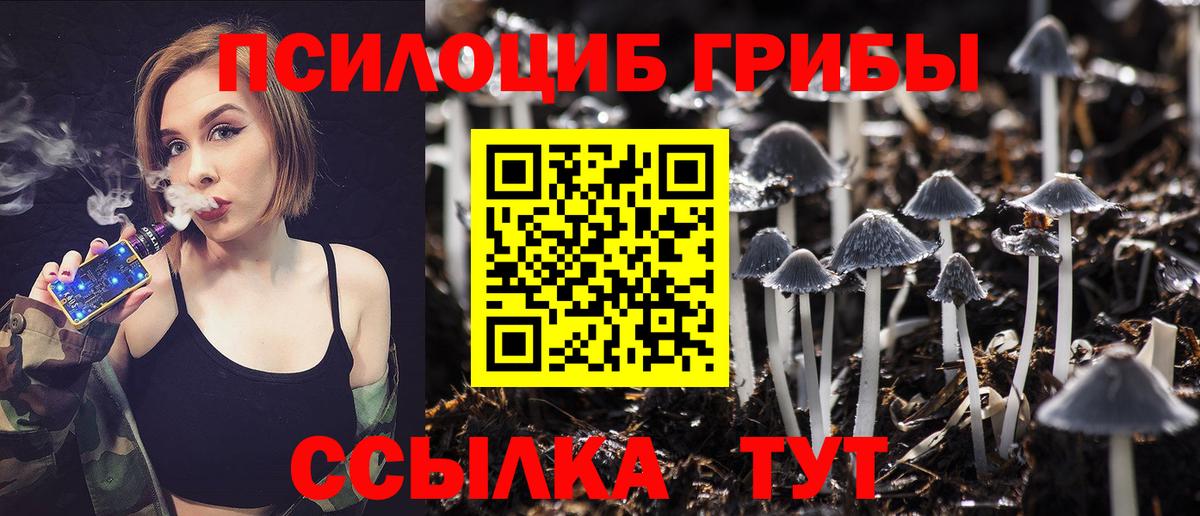 где купить наркотик  Псилоцибиновые грибы прущие грибы  Богородск  Вход с VPN  Галлюциногенные грибы MAGIC MUSHROOMS 